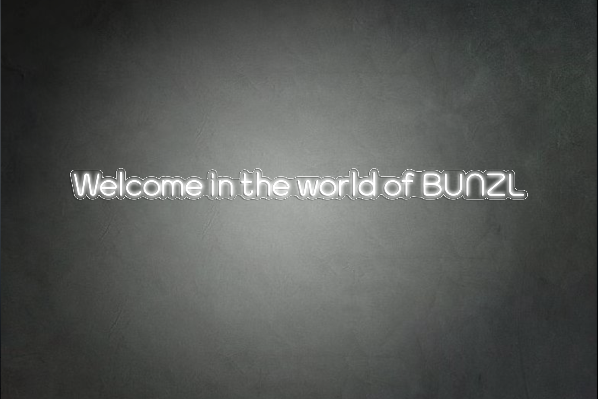 Welcome in the world of BUNZL